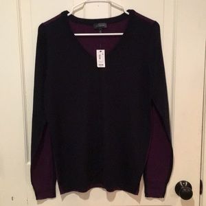 NWT the Limited color block sweater